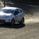 Illustration for article titled CRC 2015 Rally of the Tall Pines Photodump
